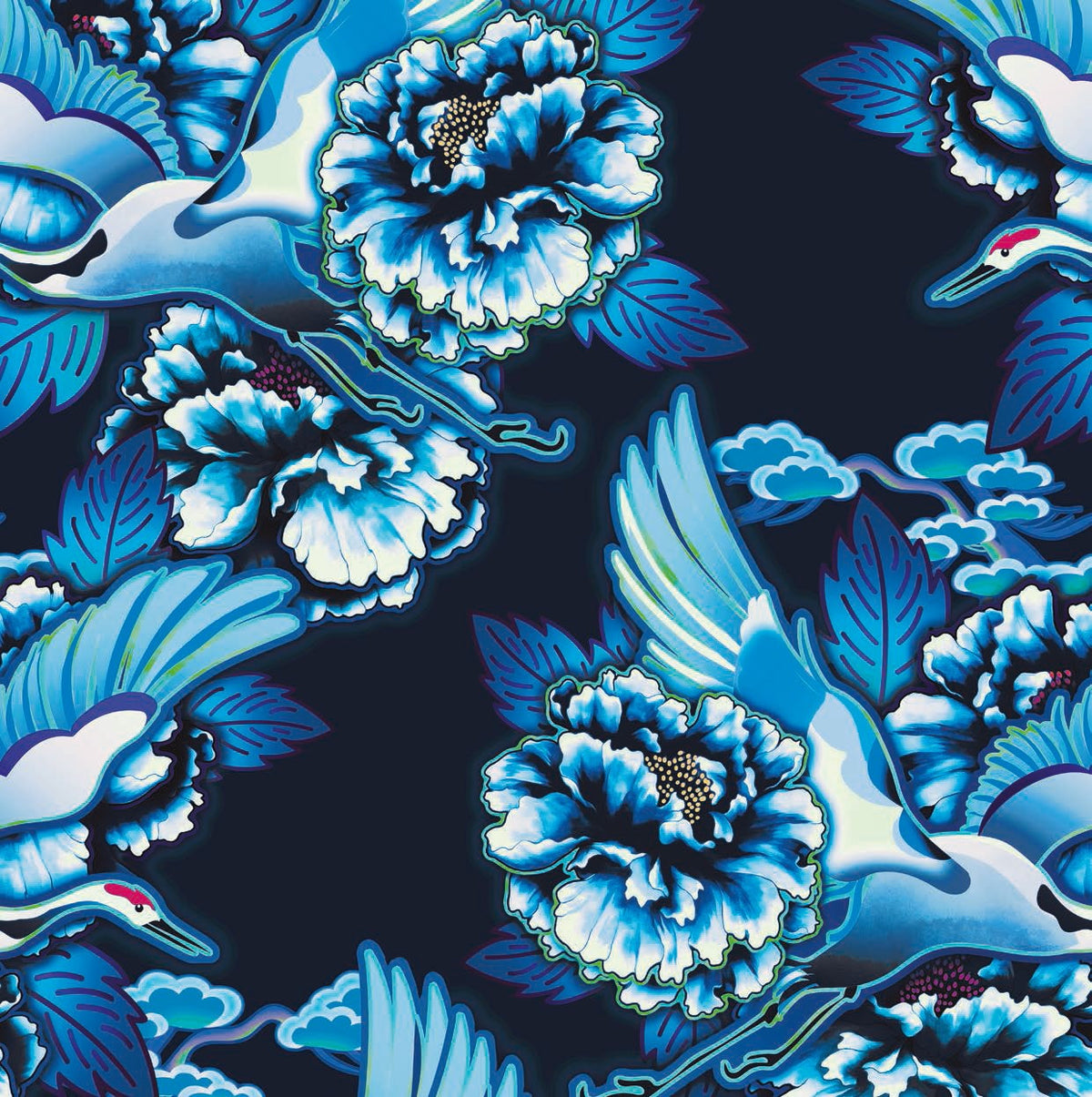 Kimono crane birds in a cloudy sky